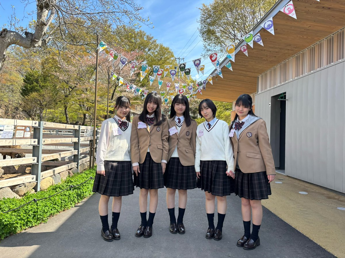 ハレの日チャイム tweet media