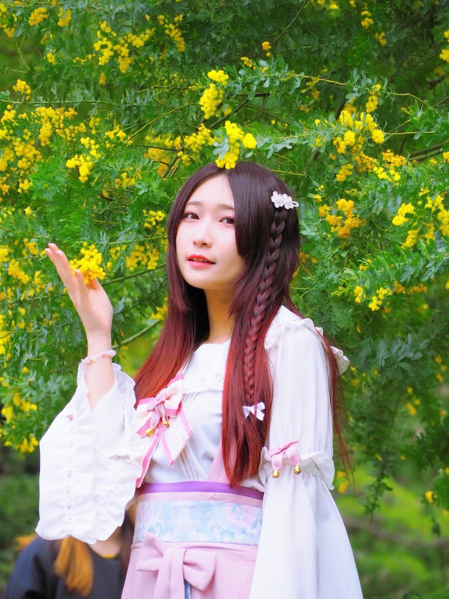 ⚜️Lily⚜️しまねっこシンガーソングライター tweet media