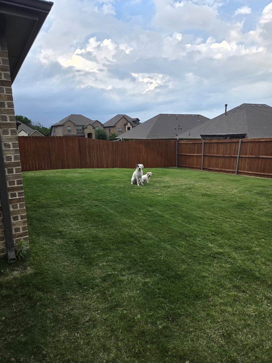 Jarhead Frog tweet media