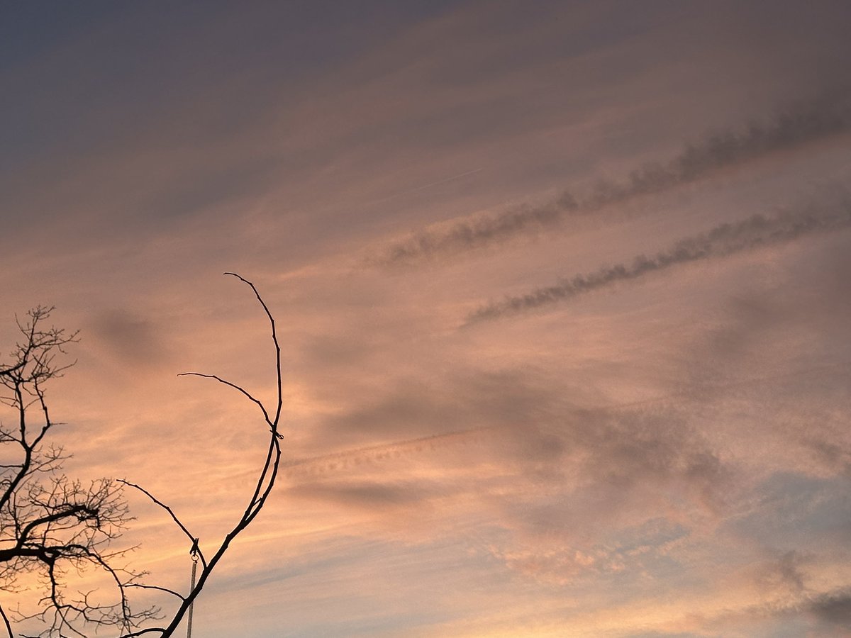 Tara Ann tweet media