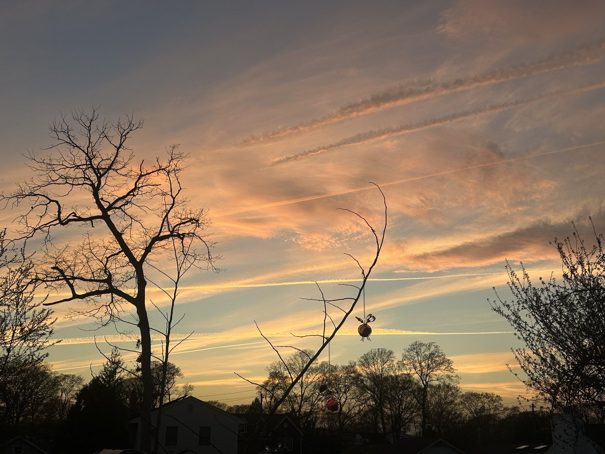 Tara Ann tweet media