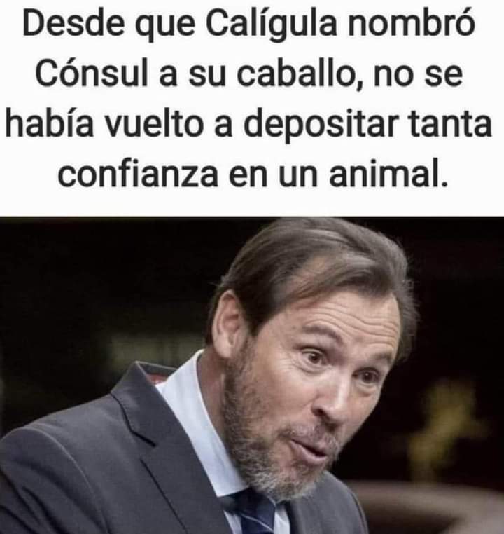 🇪🇦 DENKER 𝕏 🇮🇱 David Ackermann ن 𝕏 tweet media