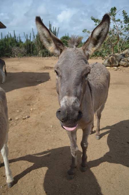 flo 🇺🇾 tweet media