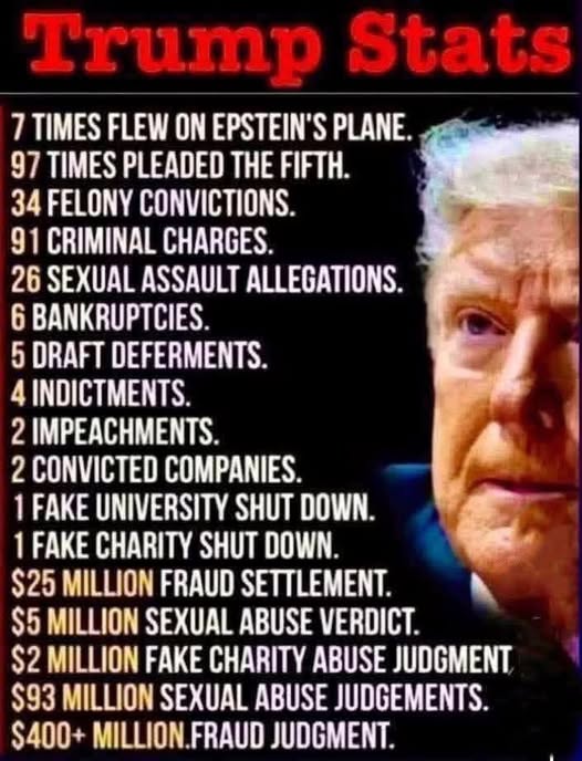 Poppy 💫🇦🇺☮🍅🥒🥕🥭🍊🍋 tweet media