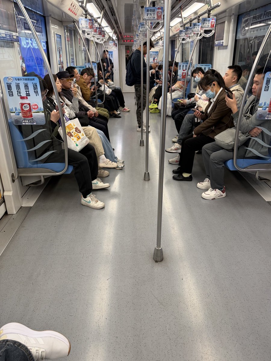 早起鸟儿
