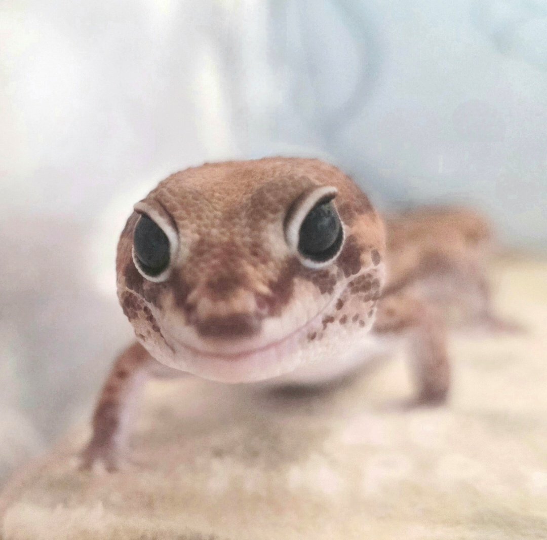 あらみぃ❁*。 tweet media