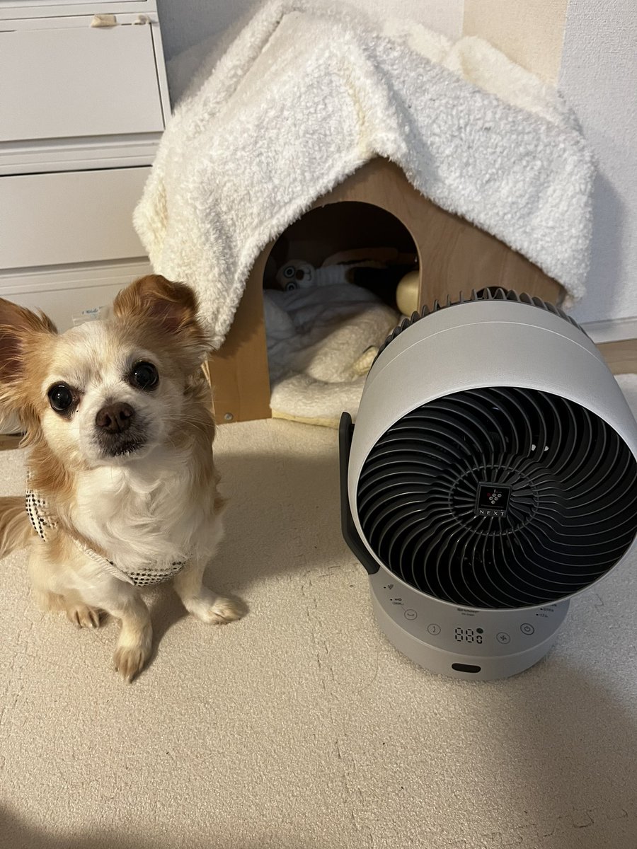 【新】みつおちゃん！ tweet media