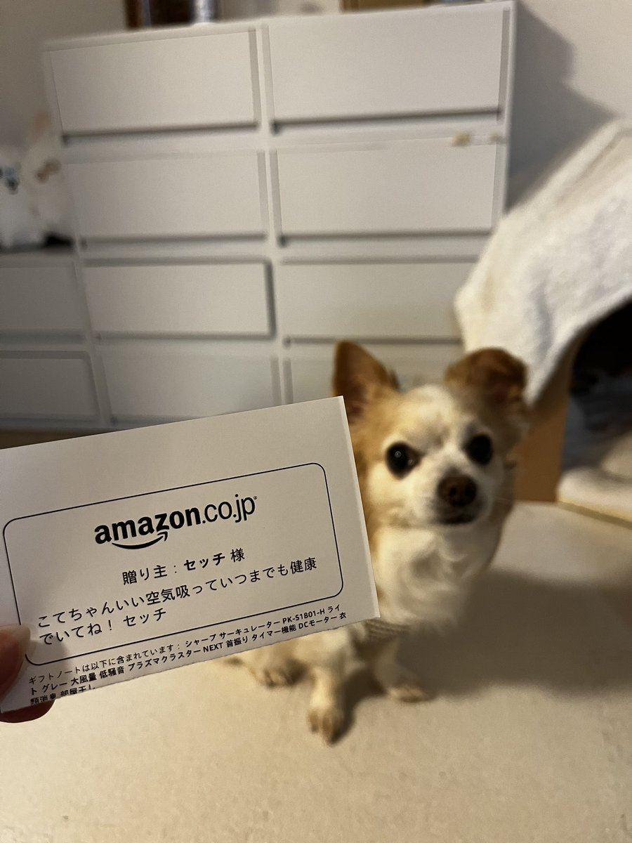 【新】みつおちゃん！ tweet media