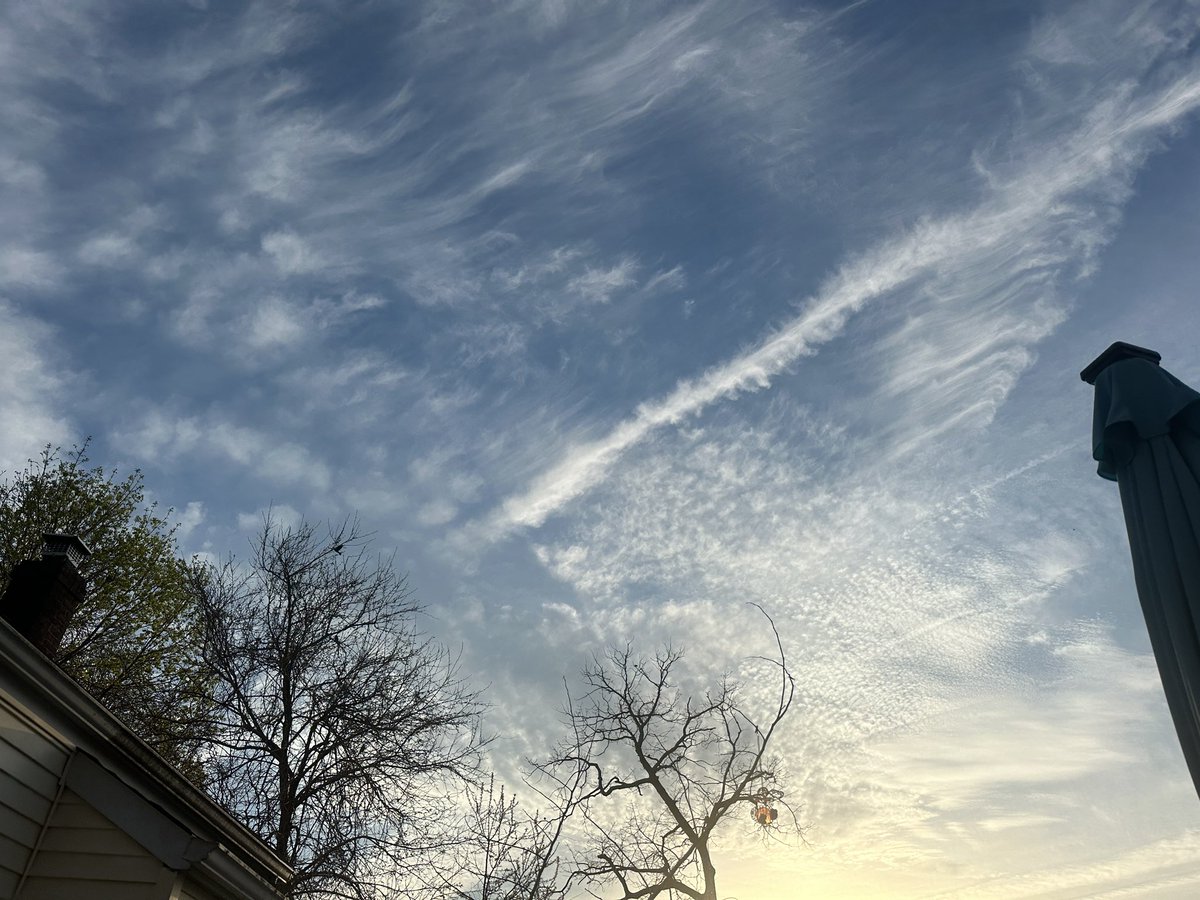 Tara Ann tweet media