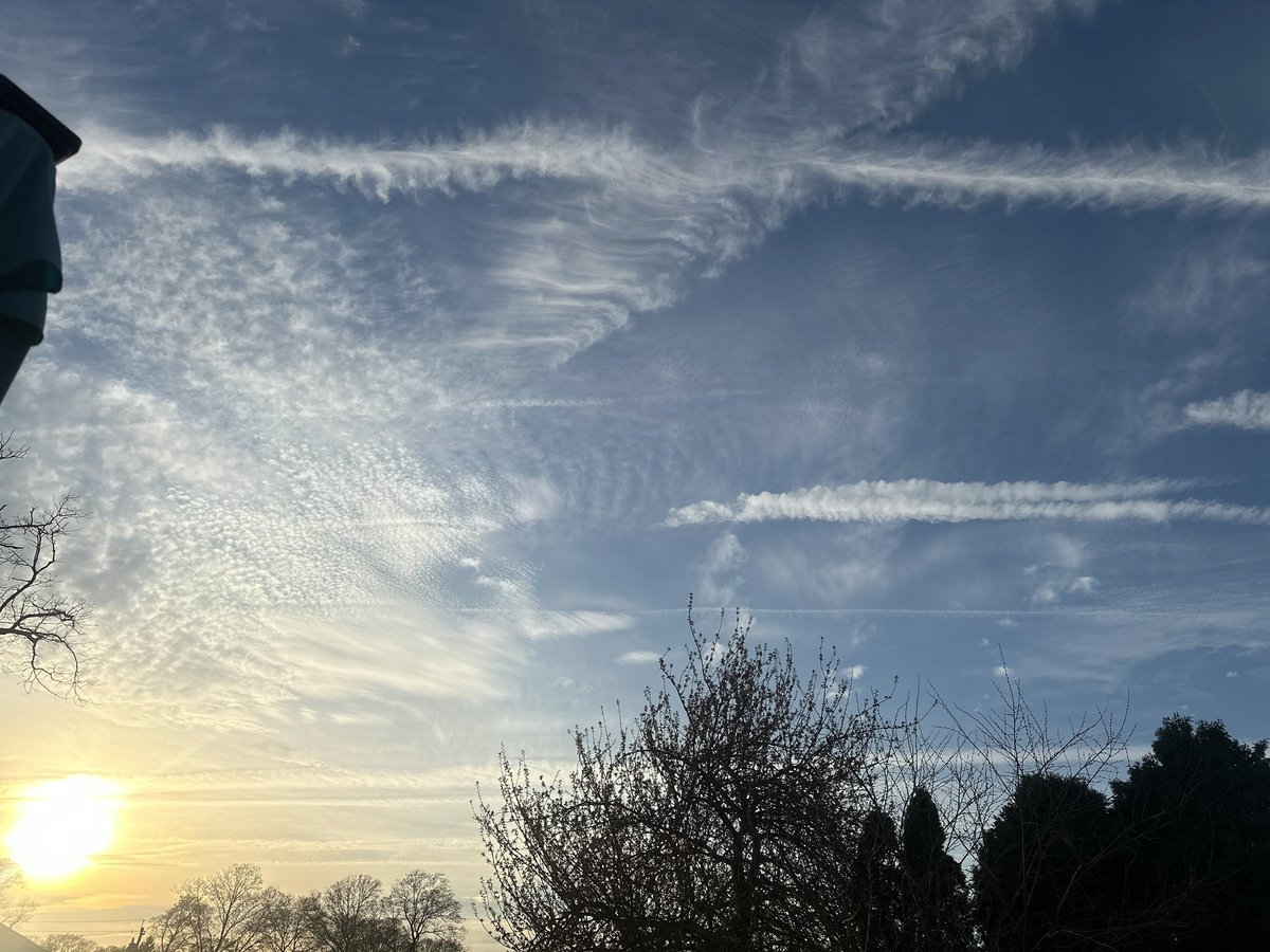 Tara Ann tweet media