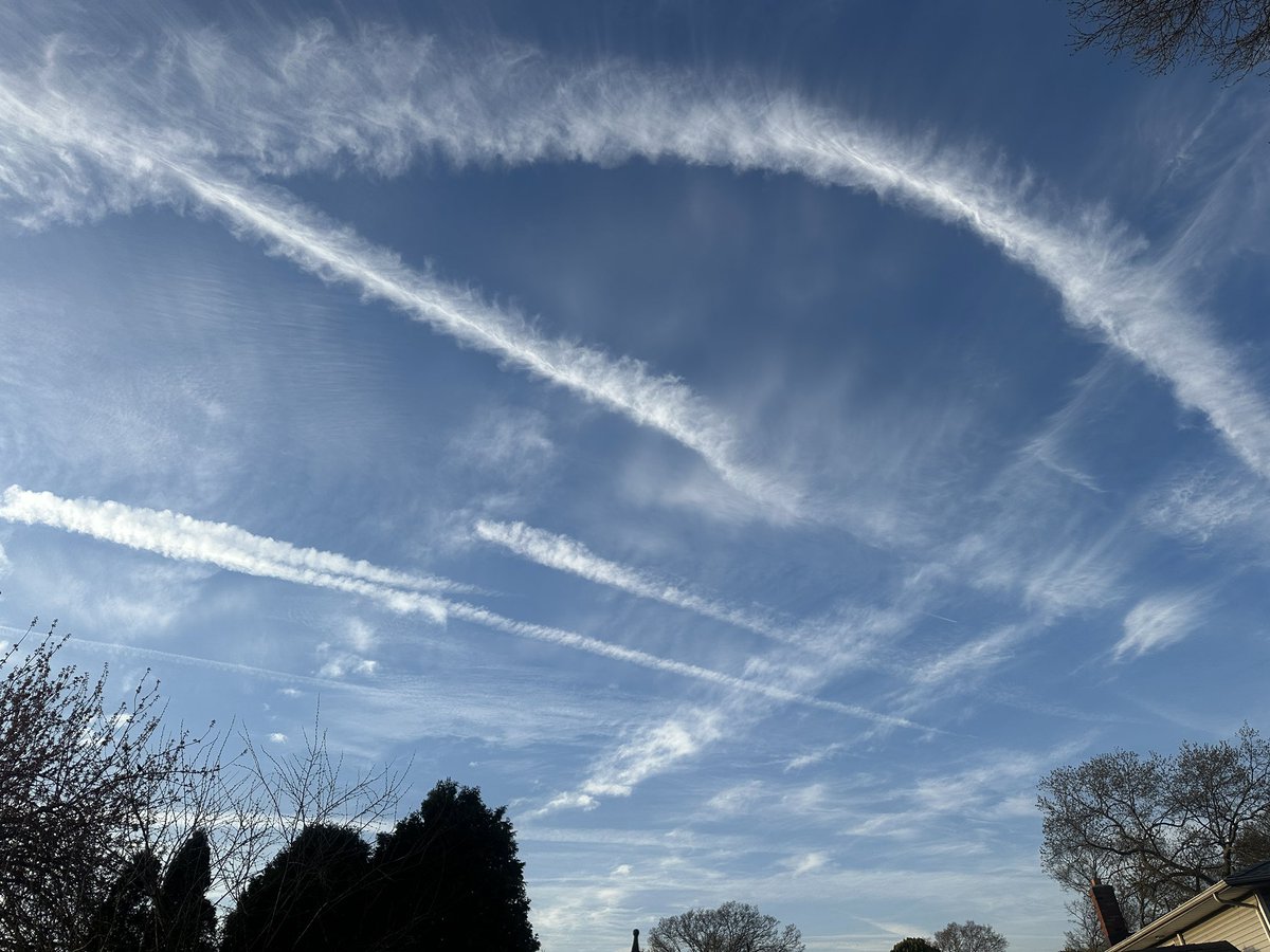 Tara Ann tweet media