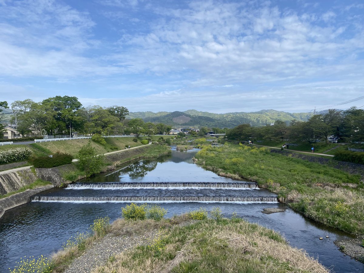 kamokamokai's tweet image. 今日の賀茂川。
2026年4月18日
#Kyoto #kyokamo #鴨川 #京都