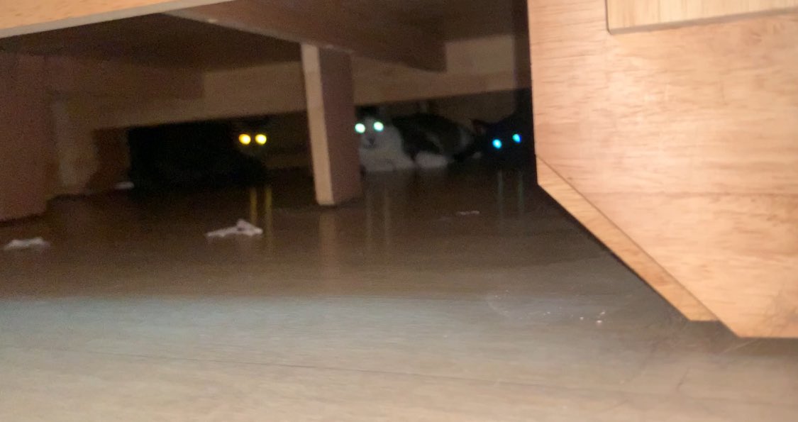 스모어(씬붙) tweet media