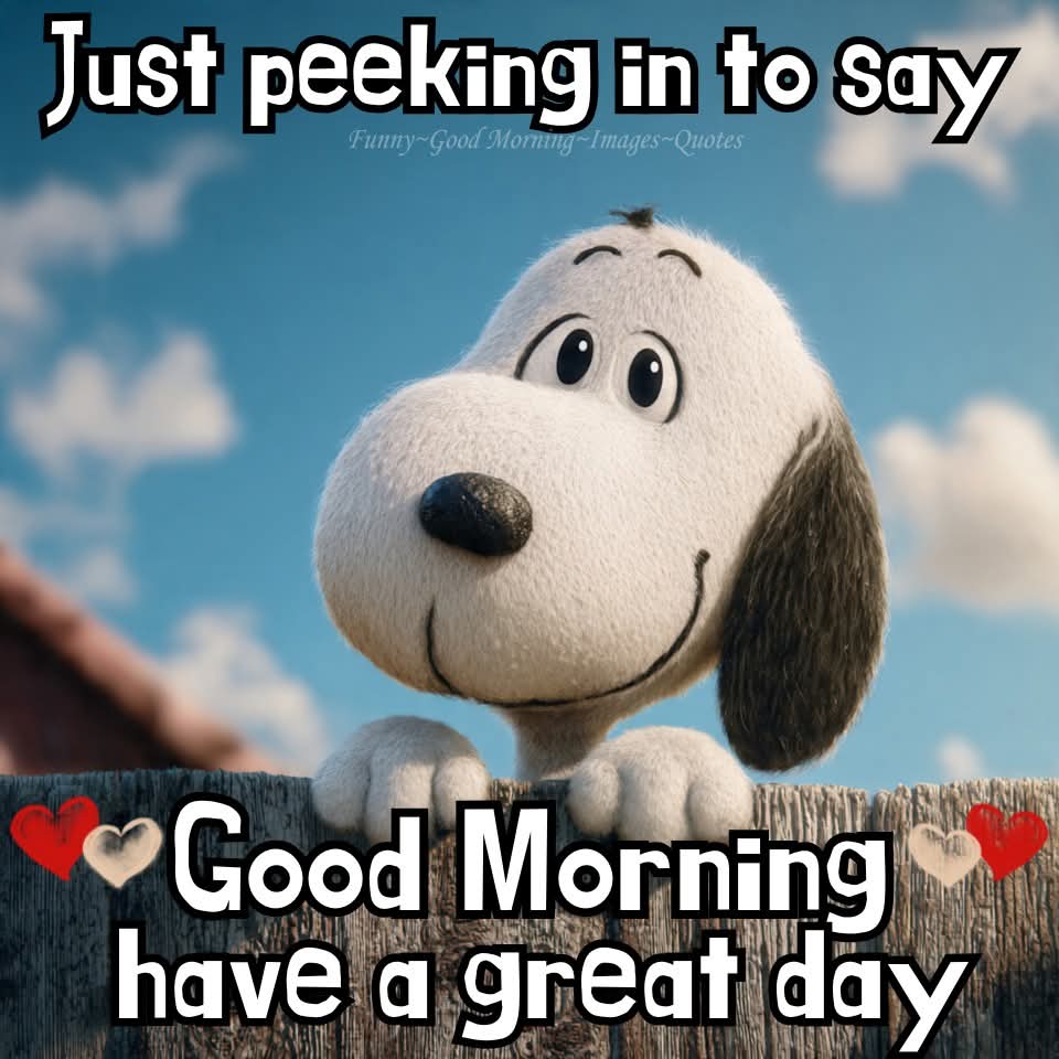 samiraa19254405's tweet image. #saturdaymorning 🌻🌻🌻🌻