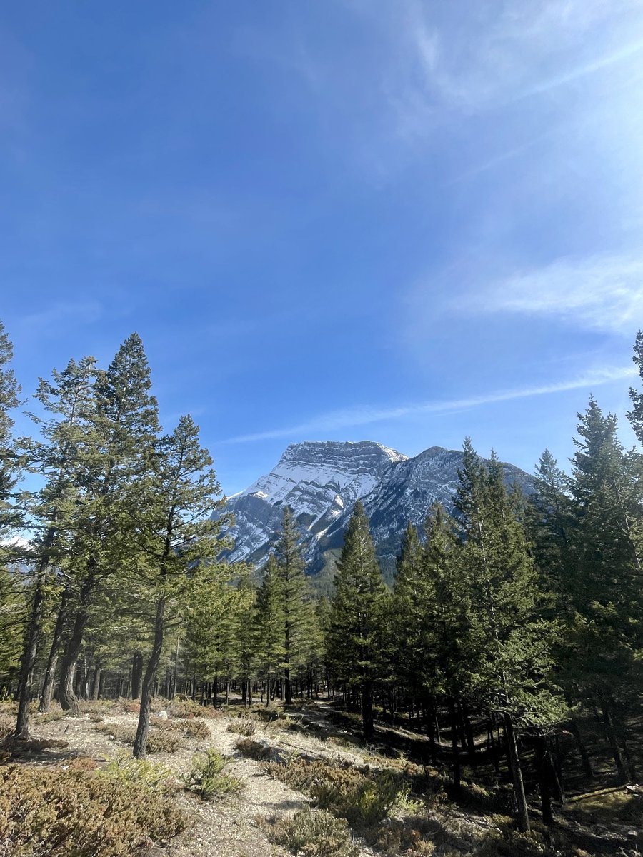 raisinbrahs's tweet image. #banff pt 2