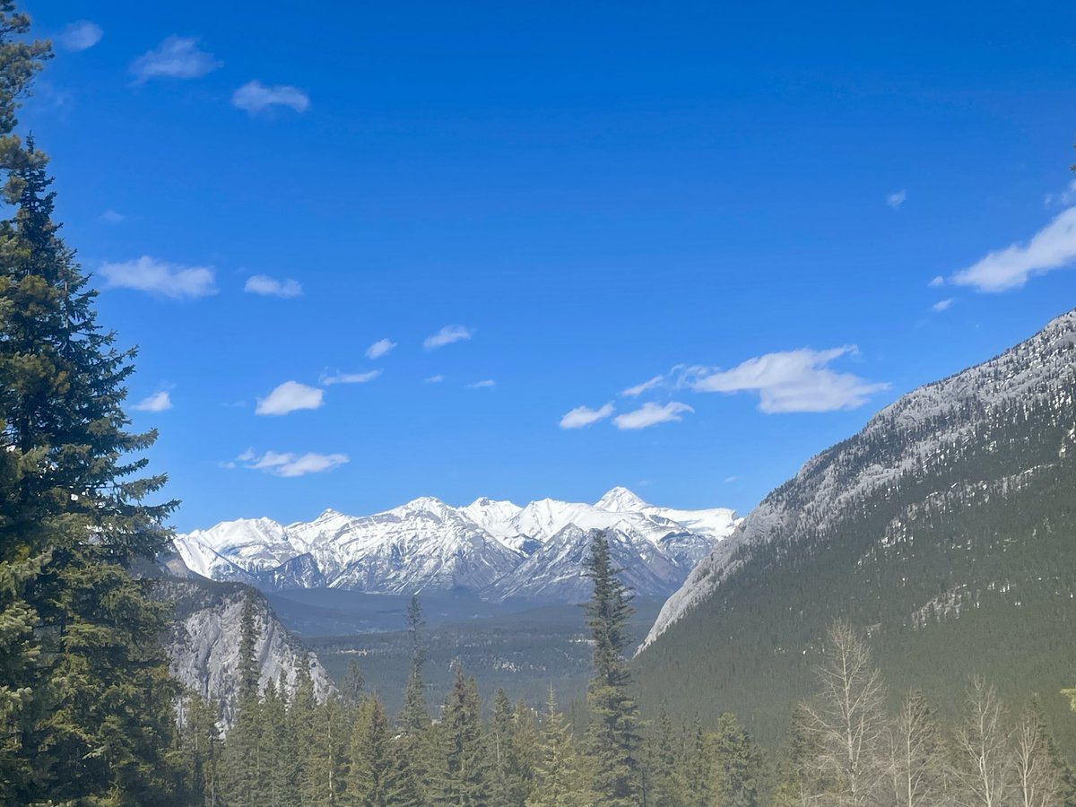 raisinbrahs's tweet image. #banff pt 2