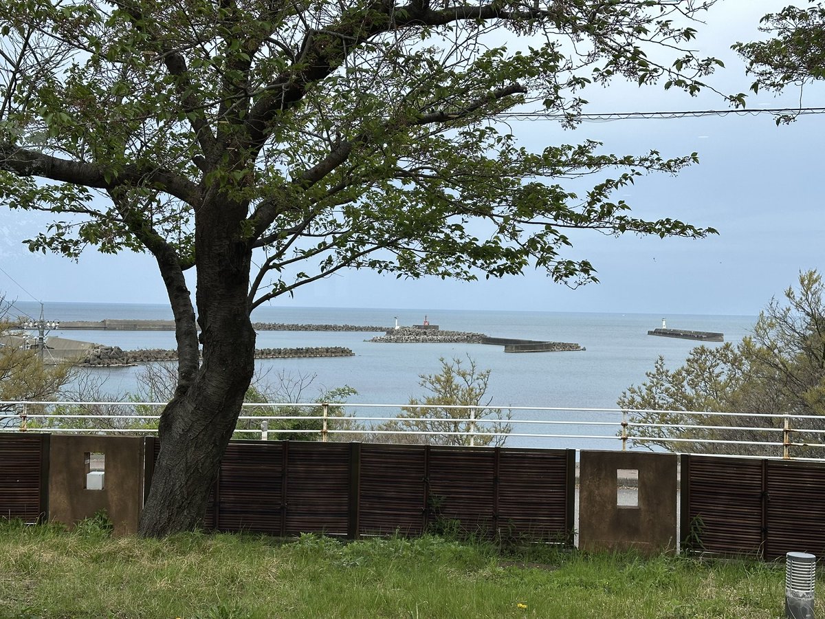 し〜らる tweet media