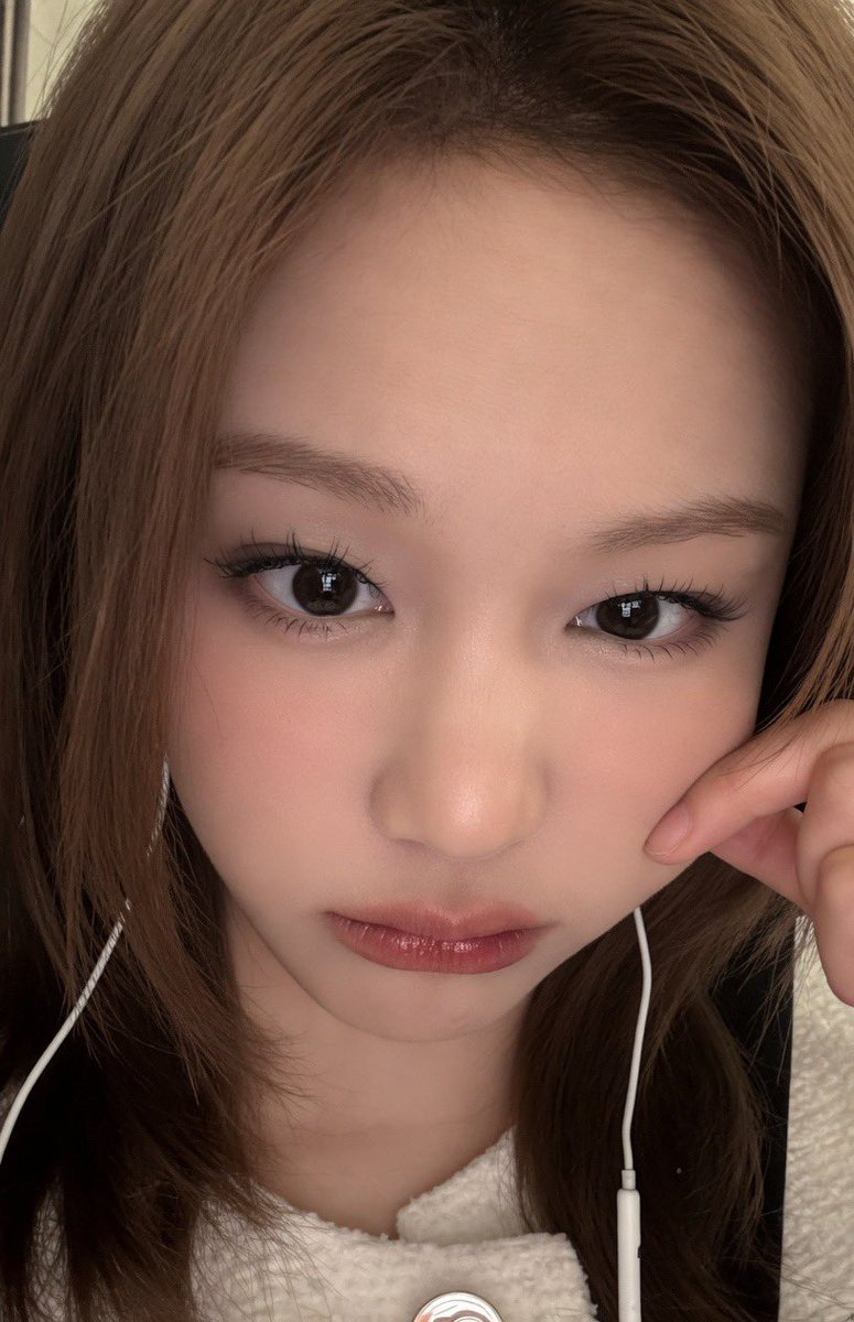 🦥🦌🐰🦋🐬🐼🐈‍⬛ tweet media