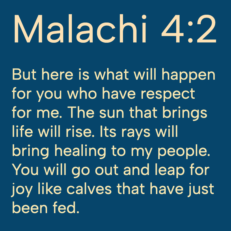 HolyBibleNIrV's tweet photo. https://t.co/7me9eVD2MO