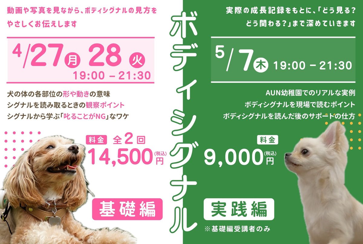 LUSH DOG🌿ラッシュドッグ tweet media