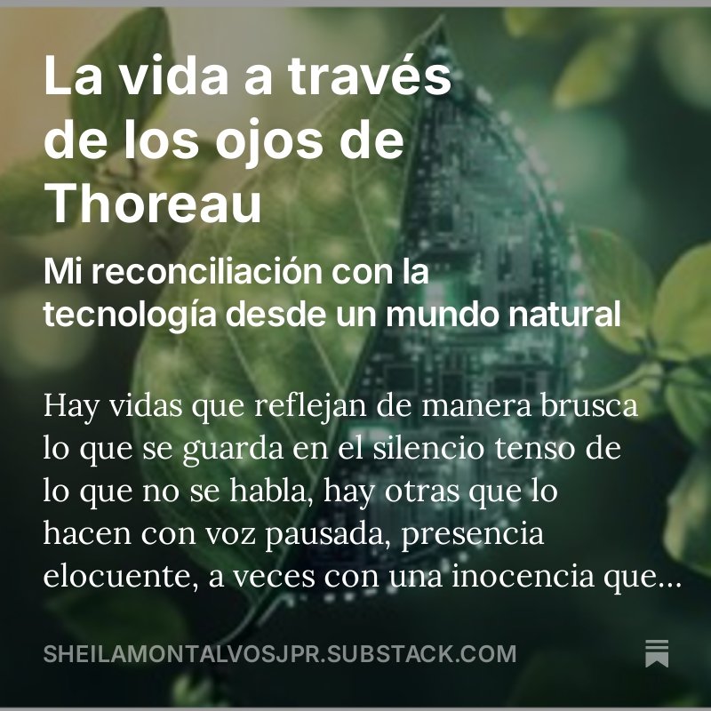 gemini_pr's tweet photo. En tiempos donde la inteligencia artificial es un presente vale preguntarnos cómo podemos balancear el avance tecnológico y nuestra naturaleza orgànica. #Thoreau  #SubstackenEspañol 
https://t.co/dSsUHgmYi2 https://t.co/URtcgrmArq