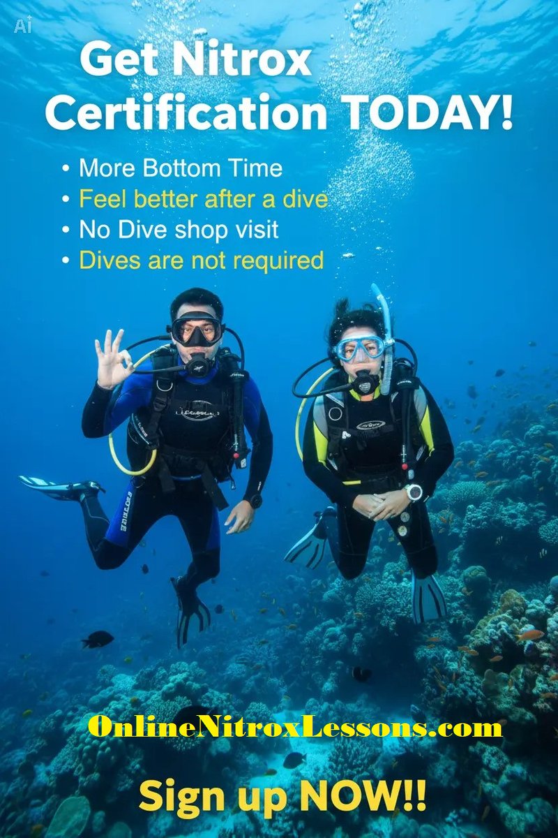 OnlineScubaLessons tweet media