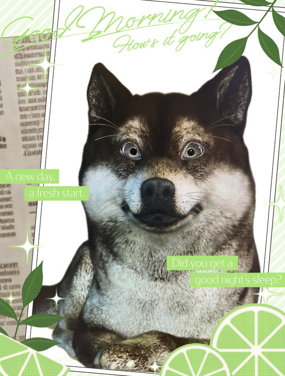 イヌヌワン@YouTube tweet media