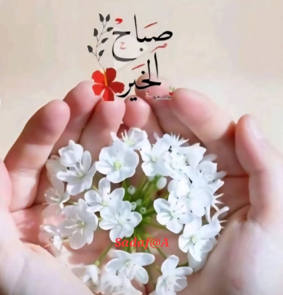 ‏صـــــد𝓈𝒶𝒹𝒶𝒻𝓈𝒽𝑒𝓇𝒾𝒻𝒻فـــ‏‏ tweet media