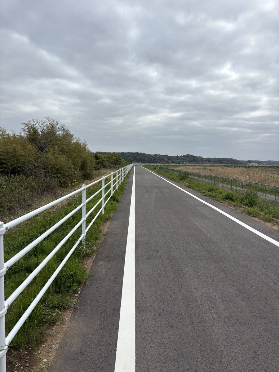 ナカダイ｜WWS認定ライター@中小企業診断士勉強中 tweet media