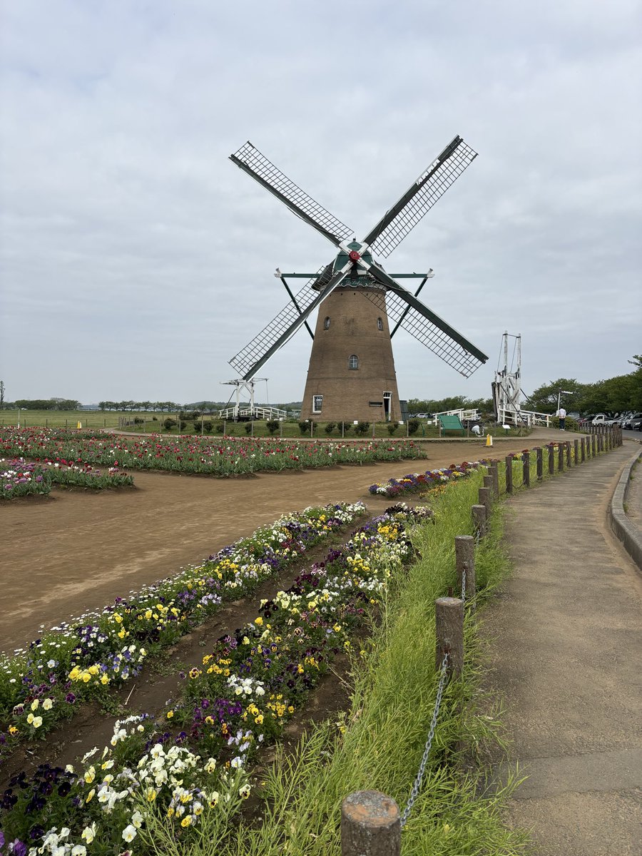 ナカダイ｜WWS認定ライター@中小企業診断士勉強中 tweet media