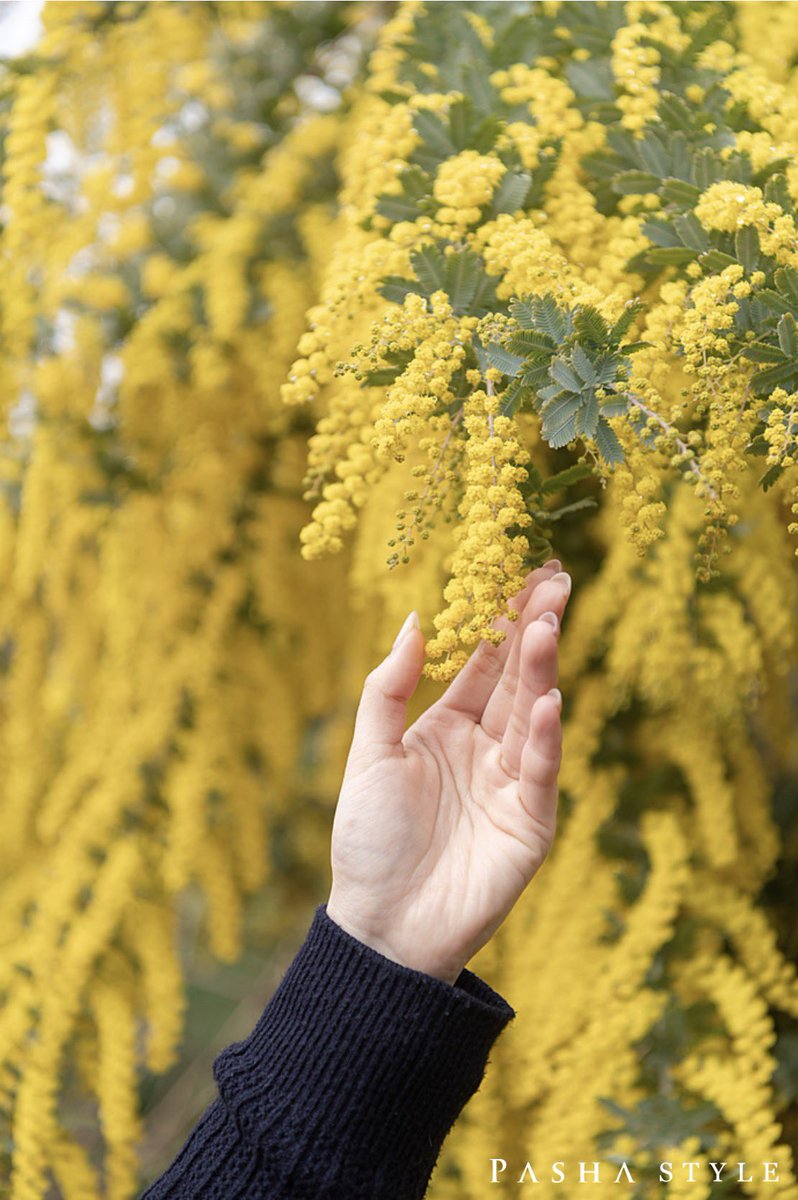 ゆたぴー tweet media