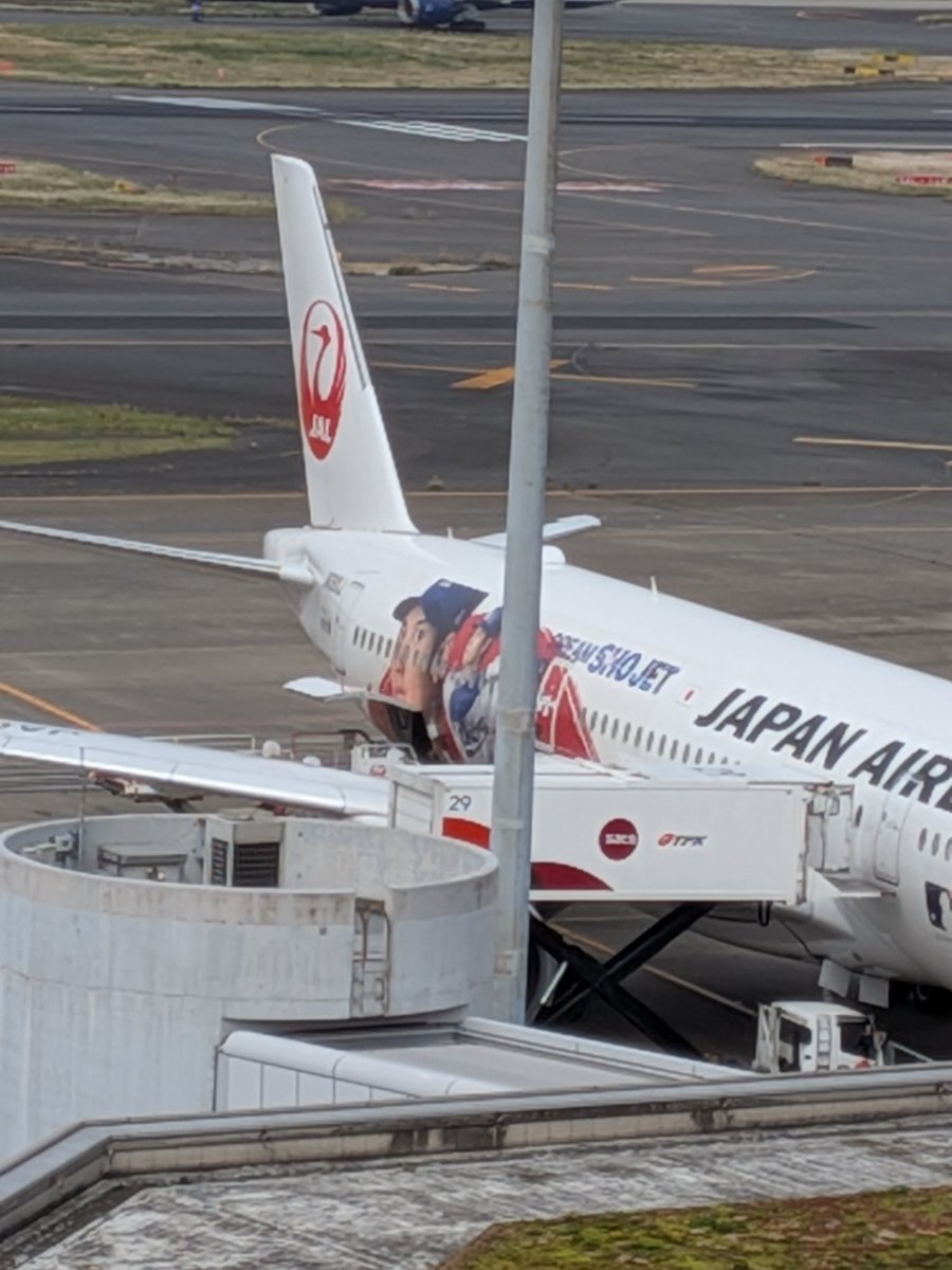 羽田空港✈
人生初の出雲に行ってきます😊