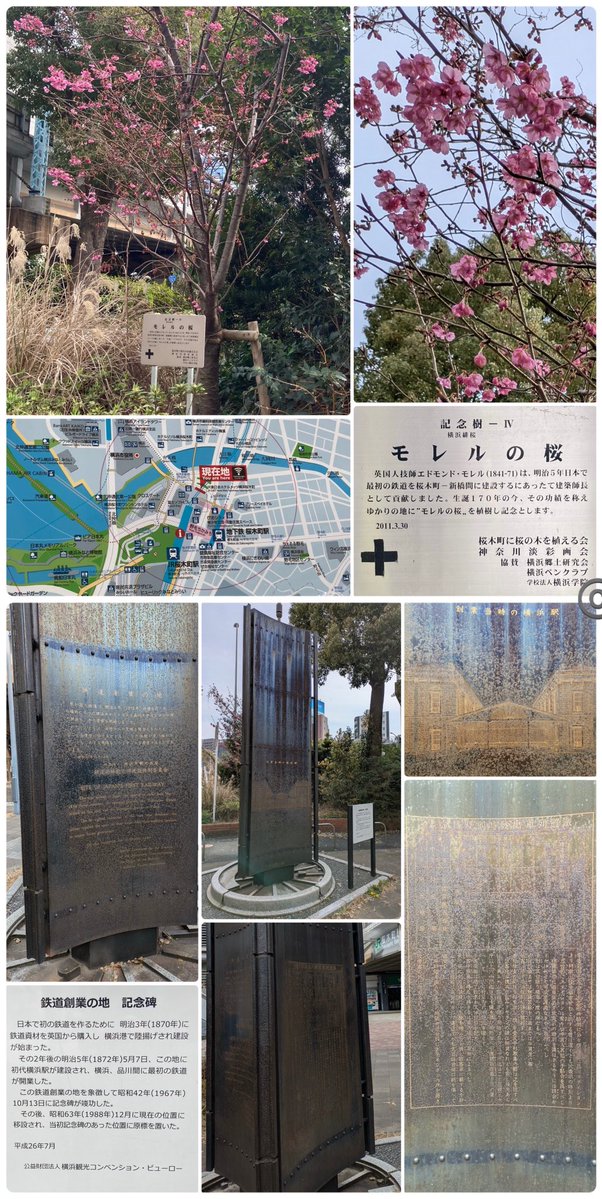sekaiandjpn's tweet image. 🌸🍃2️⃣
#cherryblossom「モレルの桜」
Memorable #cherry #tree
①~③#横浜市 #yokohama
#桜木町 Sakuragicho
🟦#旧横ギャラリー(CIAL桜木町ANNEX)
🟨#原鉄道模型博物館(西区高島)
HARA Model Railway Museum
④#港区 #高輪ゲートウェイ📷2025
TAKANAWA GATEWAY CITY #tokyo
🎖️Edmund Morel🇬🇧  #鉄道🚃