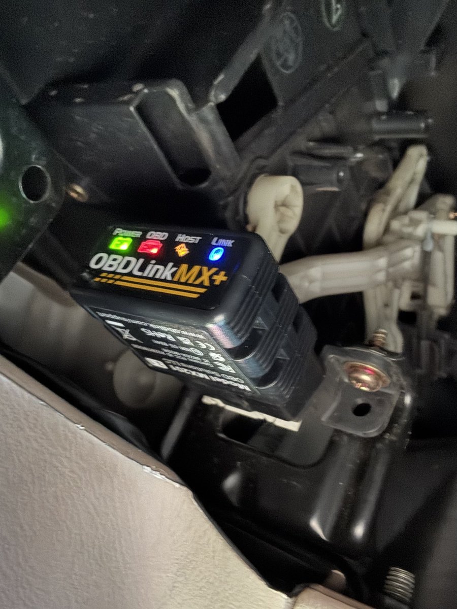 𝚃𝚛𝚊𝚟𝚒𝚜 𝙵𝚕𝚎𝚜𝚑𝚎𝚛 tweet media