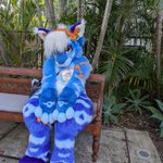 Photo by 🐉🌊Tide Pool 🌊🪸 🔜FURDU26 (@maxolotll)