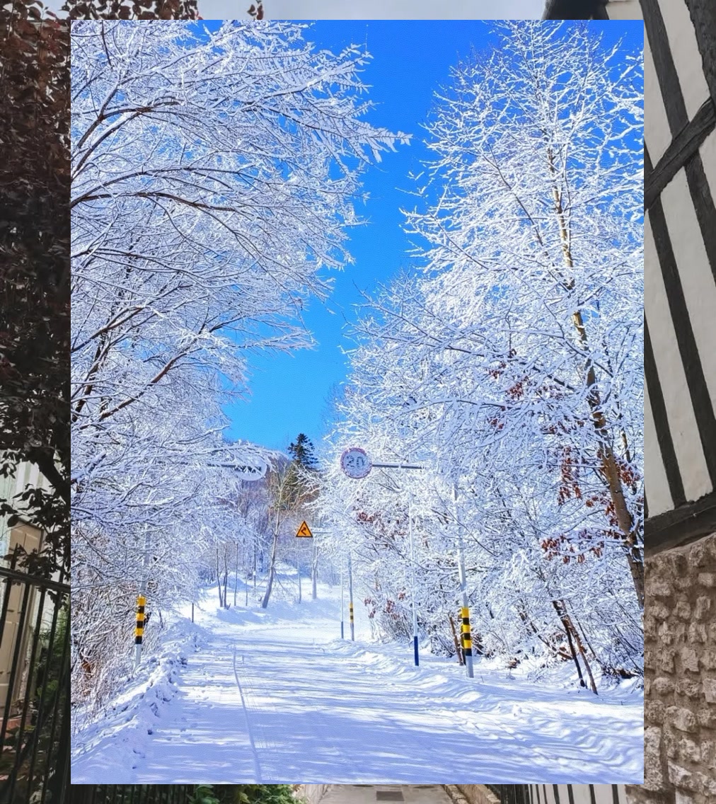 Beichen Wright tweet media