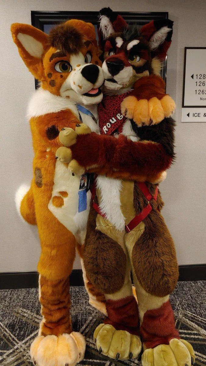 Cinnamon Collie tweet media