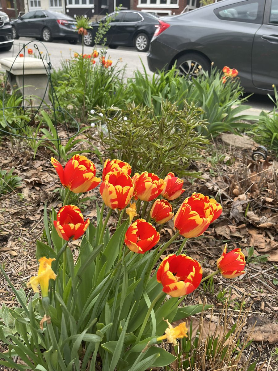 Plants_andskin tweet media