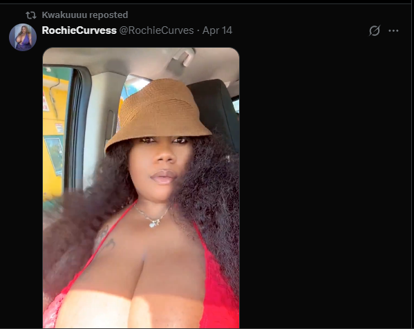 alte4evr tweet media