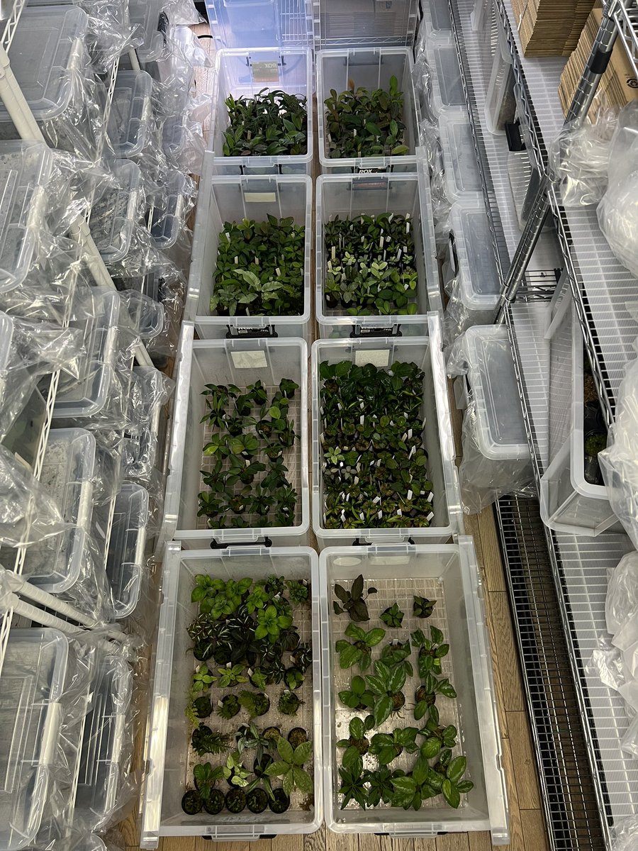 Kazuto☆大٩(ˊᗜˋ*)و阪☆ tweet media