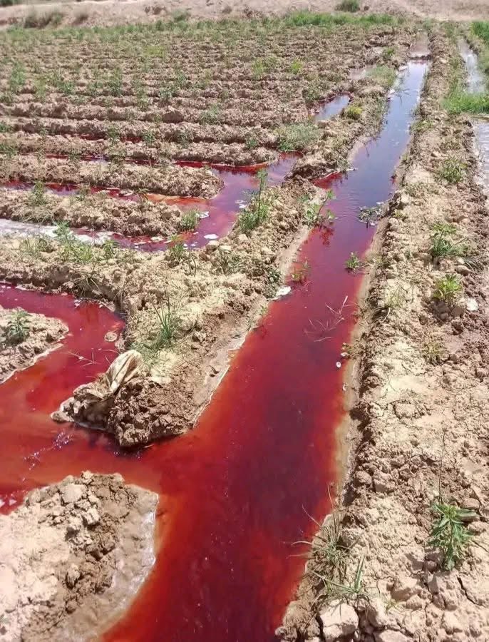 ريــــــــــدان ~ 🇾🇪 tweet media