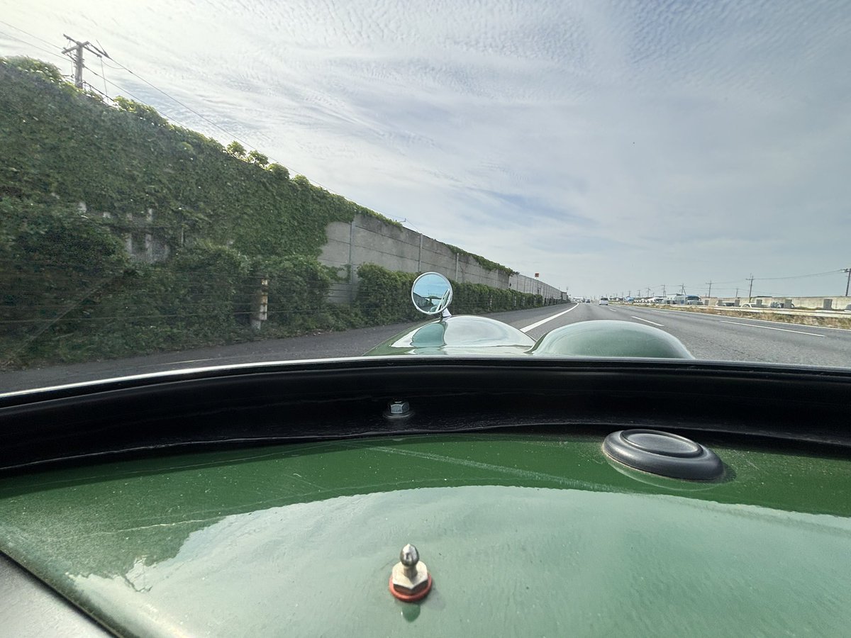 でみたし tweet media