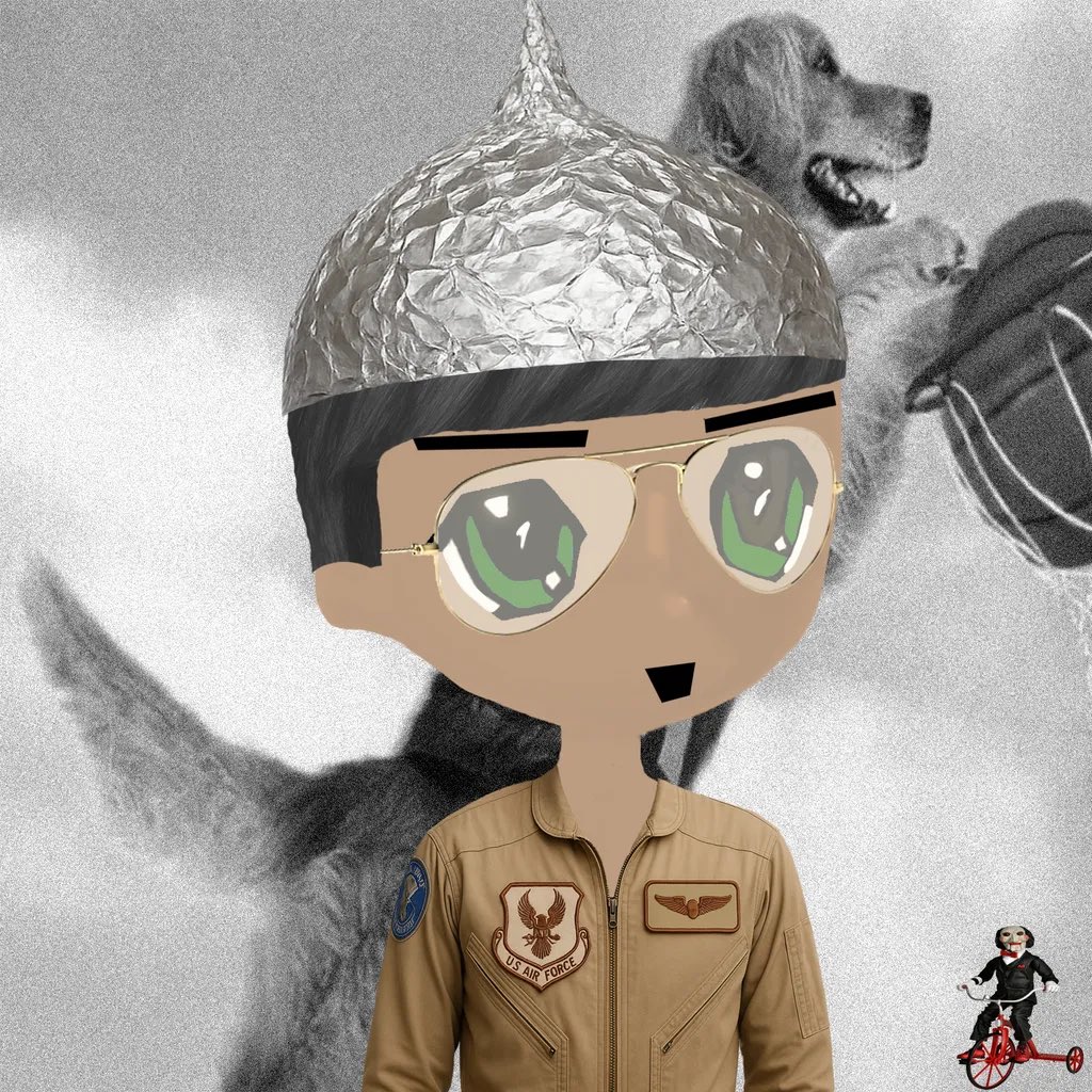 SurfnKook 🐊 tweet media