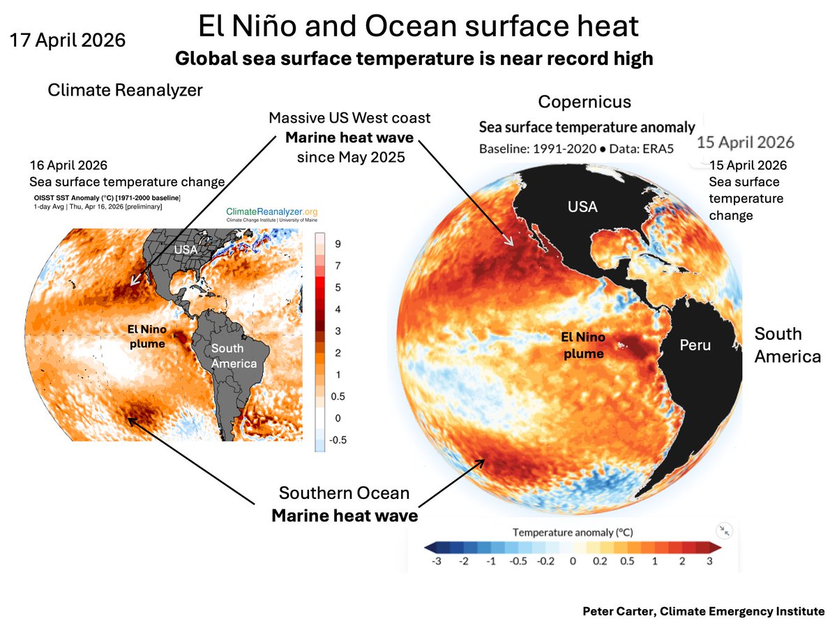 PCarterClimate's tweet image. EL NINO AND HIGH OCEAN SURFACE HEAT
The El Nino plume off Peru is intensifying, and the global sea (ocean) surface temperature is near record high. The massive West Coast marine heat wave persists (almost a year).
(Copernicus and Climate Reanalyzer SSTs) 
#ocean #climatechange