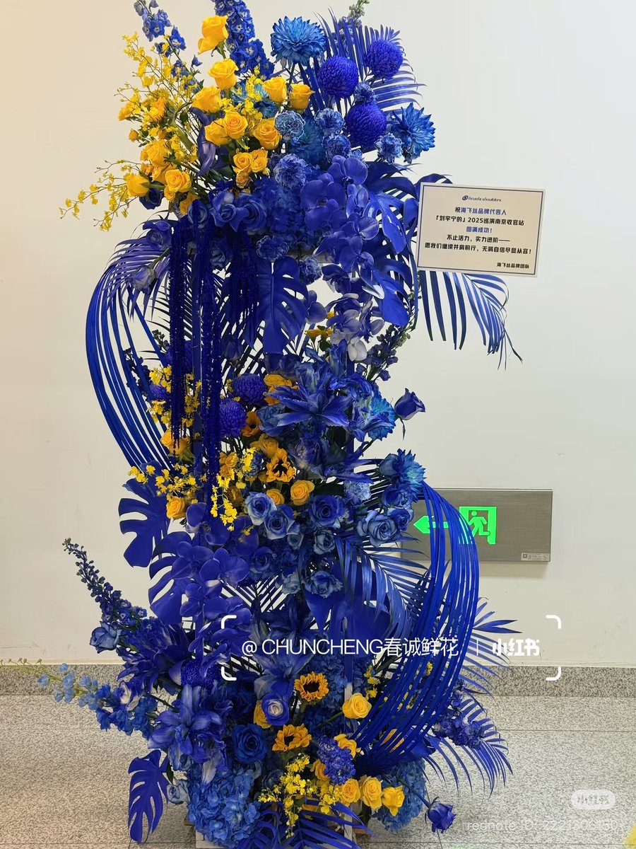 AJLYN456's tweet image. Flowers from Head &amp;amp; Shoulders 

#刘宇宁的2025巡演
#LiuYuningsConcertTour2025
#LiuYuning2025concerttour
#LiuYuning #หลิวอวี่หนิง #刘宇宁 #류우녕