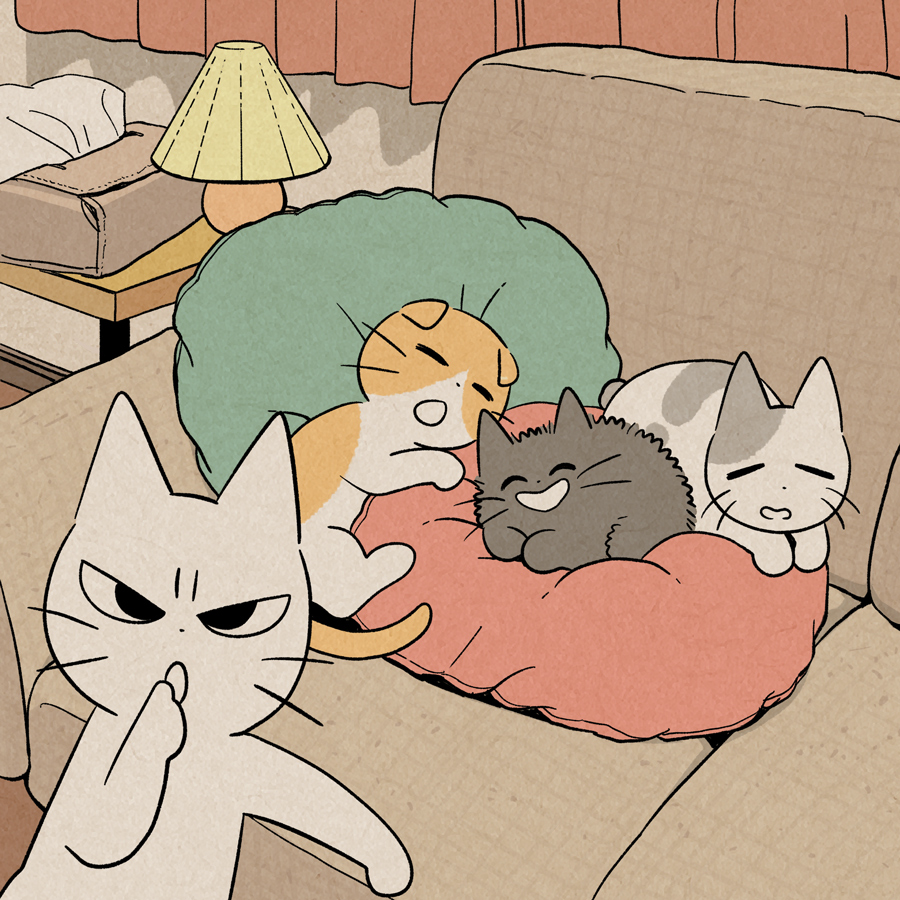 しかるねこ tweet media