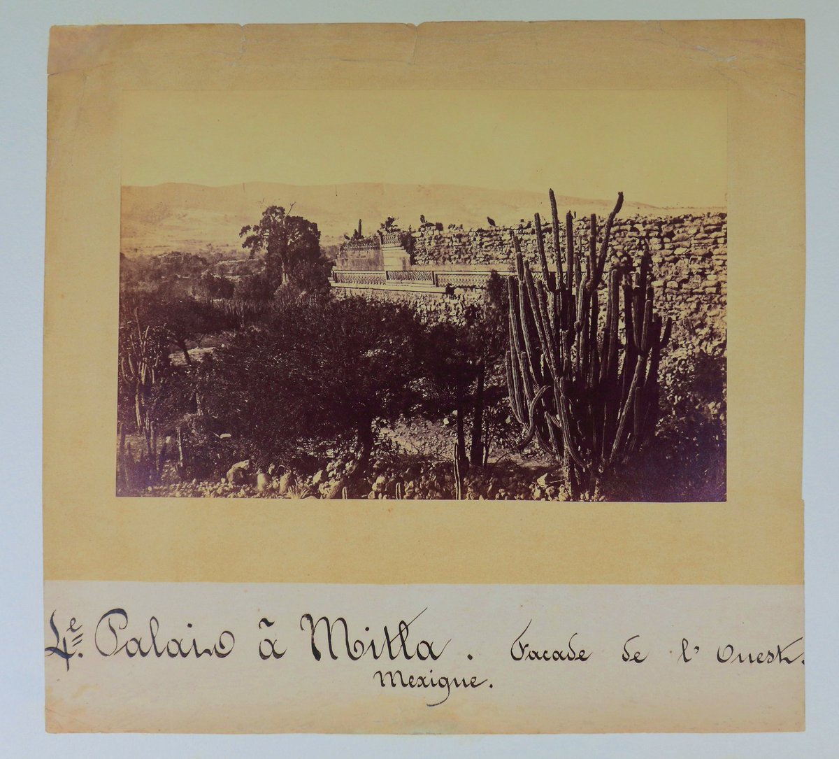 Colecciones de Ricardo Salinas Pliego tweet media