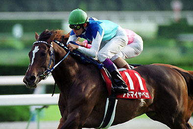 武豊全勝ち鞍@初勝利からの軌跡】 JRA通算1,696勝目 JRA重賞通算135