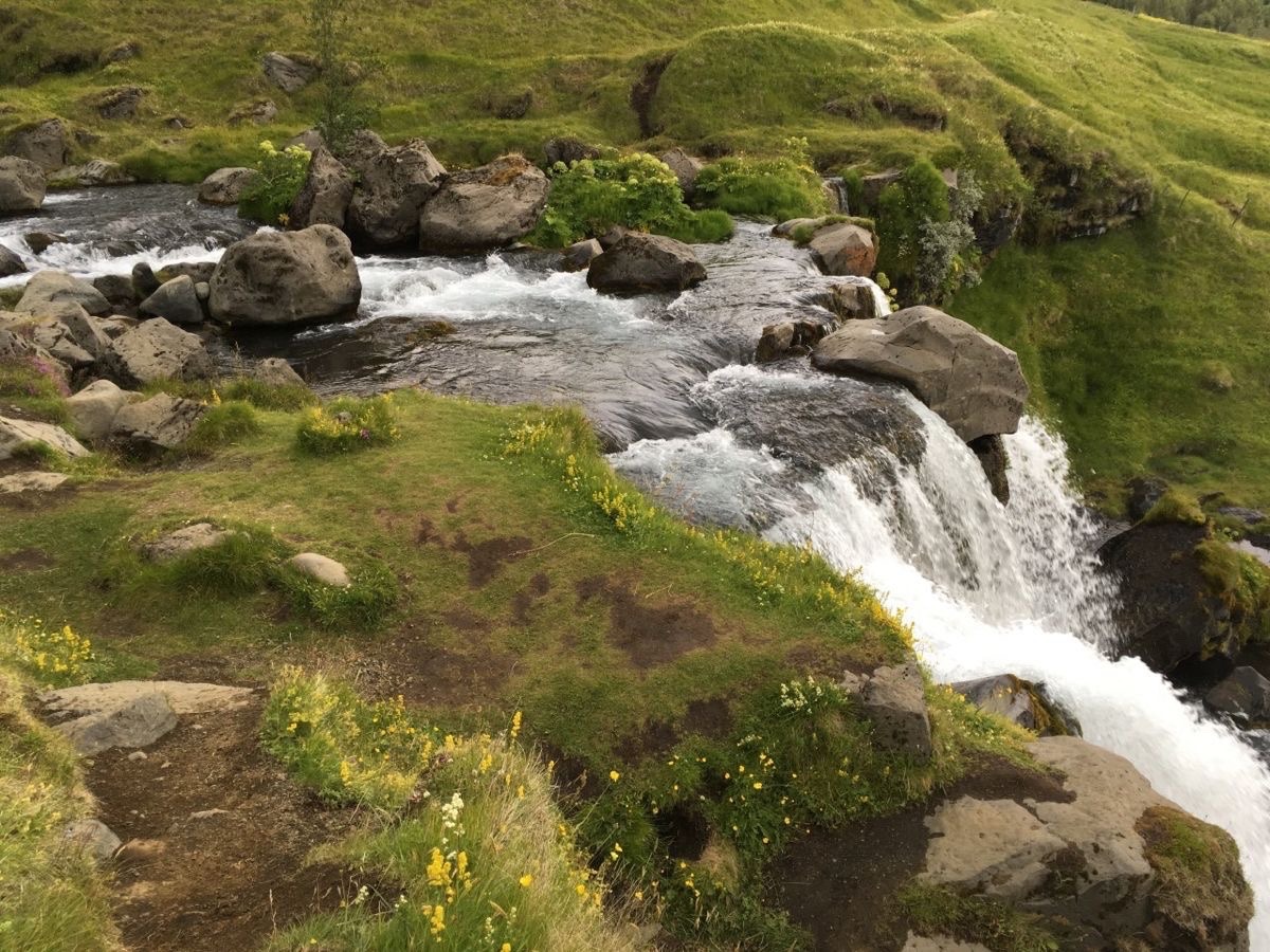 headhort tweet media