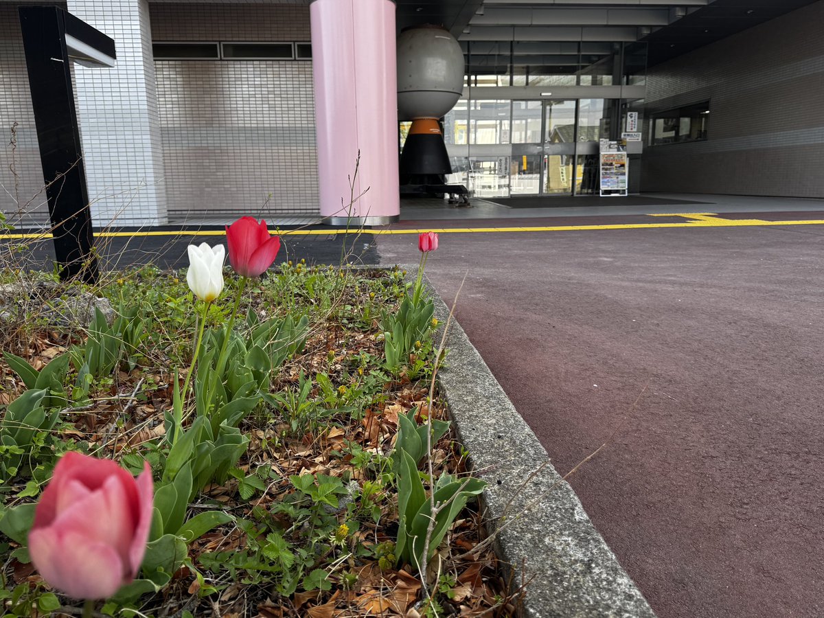良い天気になりました。
本日4/18（土）「塗装の無料相談会」まもなくスタートです。

上田創造館　第一研修室
10:00〜16:00まで
予約不要です。

どんな小さなことでもお気軽にご相談ください。
